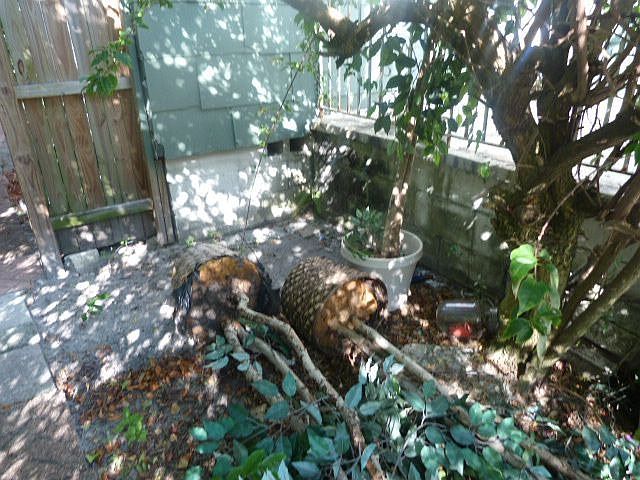 2nd image of 3211 36th Ave N