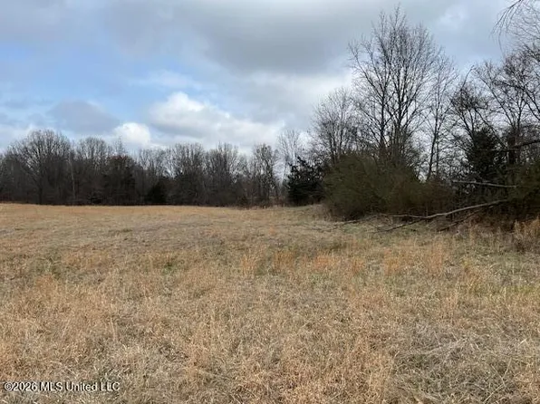 22 Willie Hibbler Rd, Senatobia, MS 38668