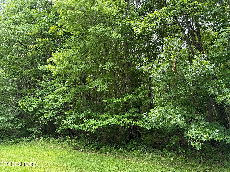 2nd image of Lollar Dr
