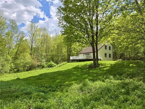 440 Magic Mountain Rd, Bloomville, NY 13739