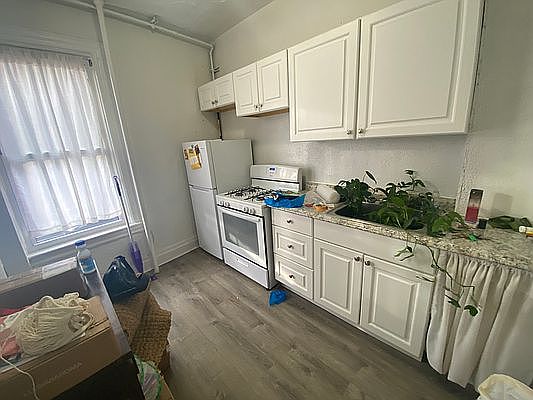 5th image of 242 Flatbush Ave #2
