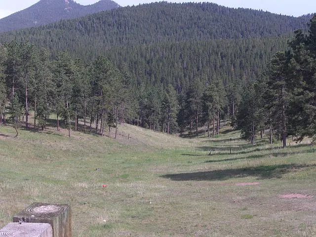 Hi Way, Conifer — Photo 3