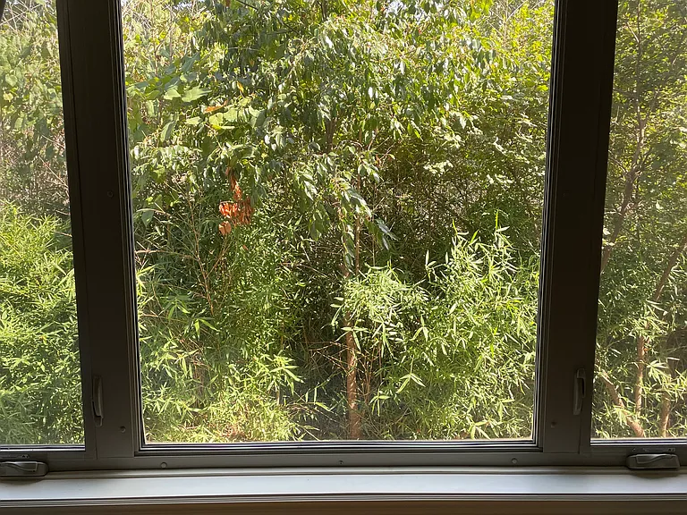 Bedroom #1 window