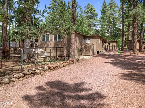1659 Mormon Rd, Happy Jack, AZ 86024