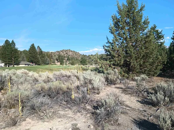 5/193 Venturi Ct, Weed, CA 96094