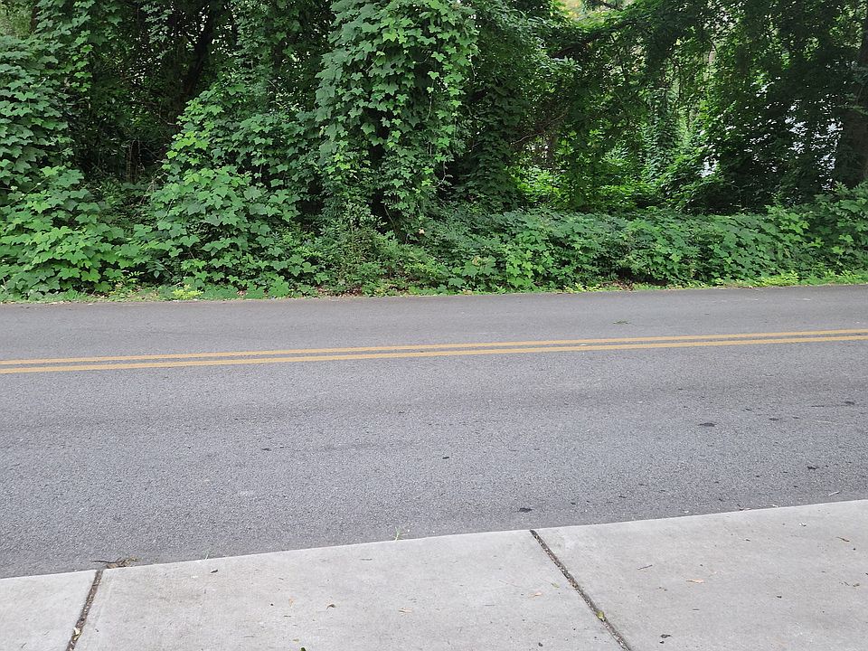 2nd image of 0 Pine St