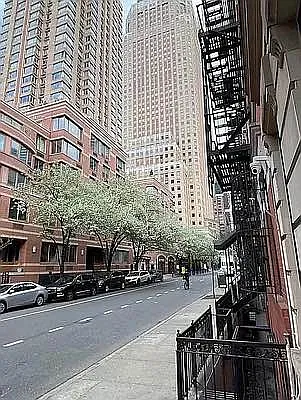 Rented by CNYC Apartments | media 24