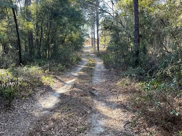 NE 69th Pl Lot 5, Bronson, FL 32621