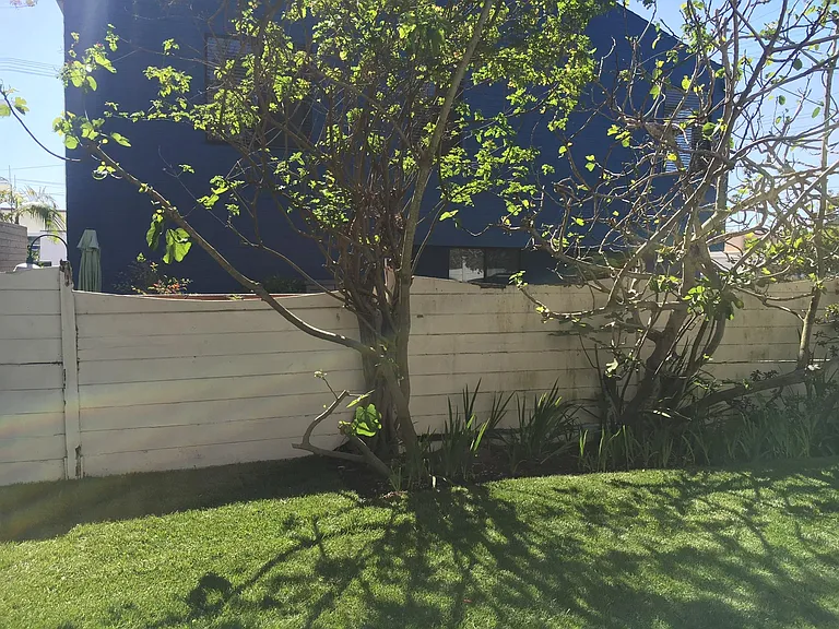 1121 Virginia Way — Photo 10