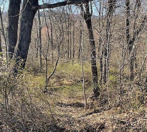 4th image of 0 Rampike Hill Rd