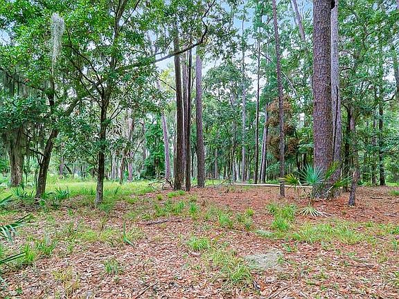 2nd image of 56 Forest Lake Dr