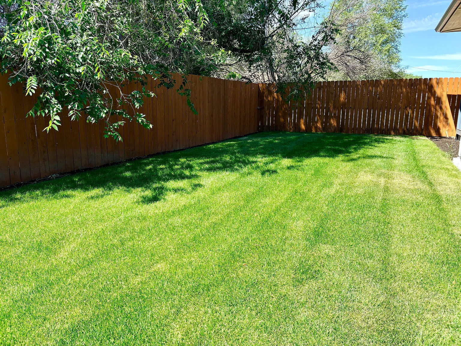 3 bed, 1400 sqft, $2,800 — Photo 3