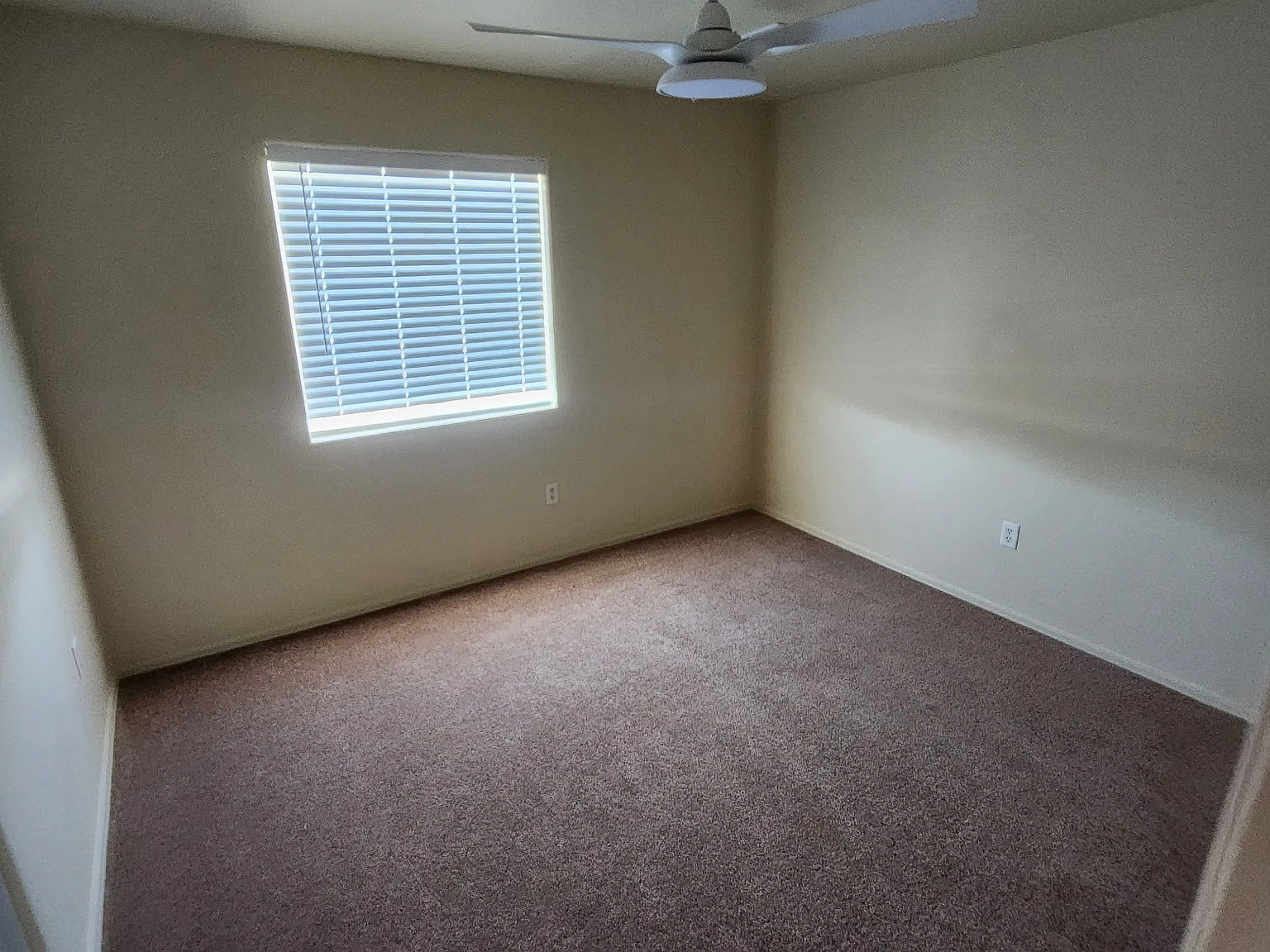 3 bed, $950 — Photo 2