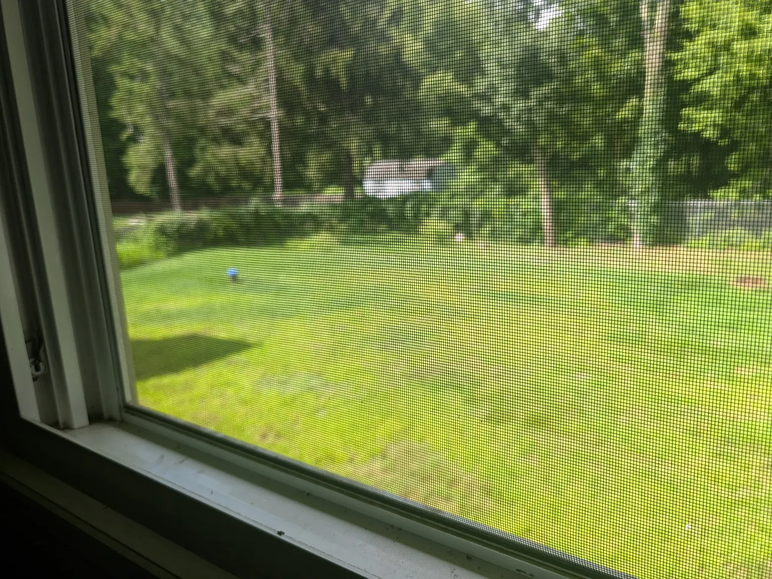 3 bed, 1102 sqft, $2,500 — Photo 3