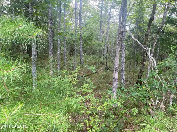 1031 Redwing Dr, Crossville, TN 38572