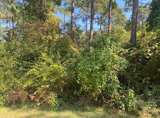 112 Laughing Gull Ln, Lanark Village, FL 32323