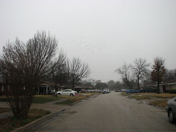 4th image of 4429 Sarazen Dr
