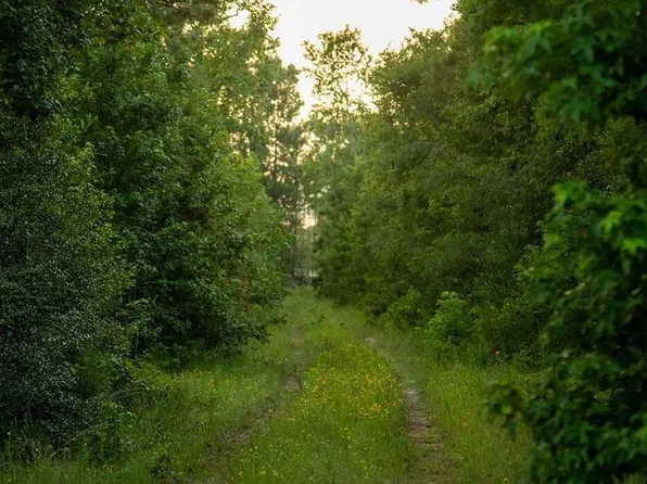 39 Coyote Run, New Waverly, TX 77358