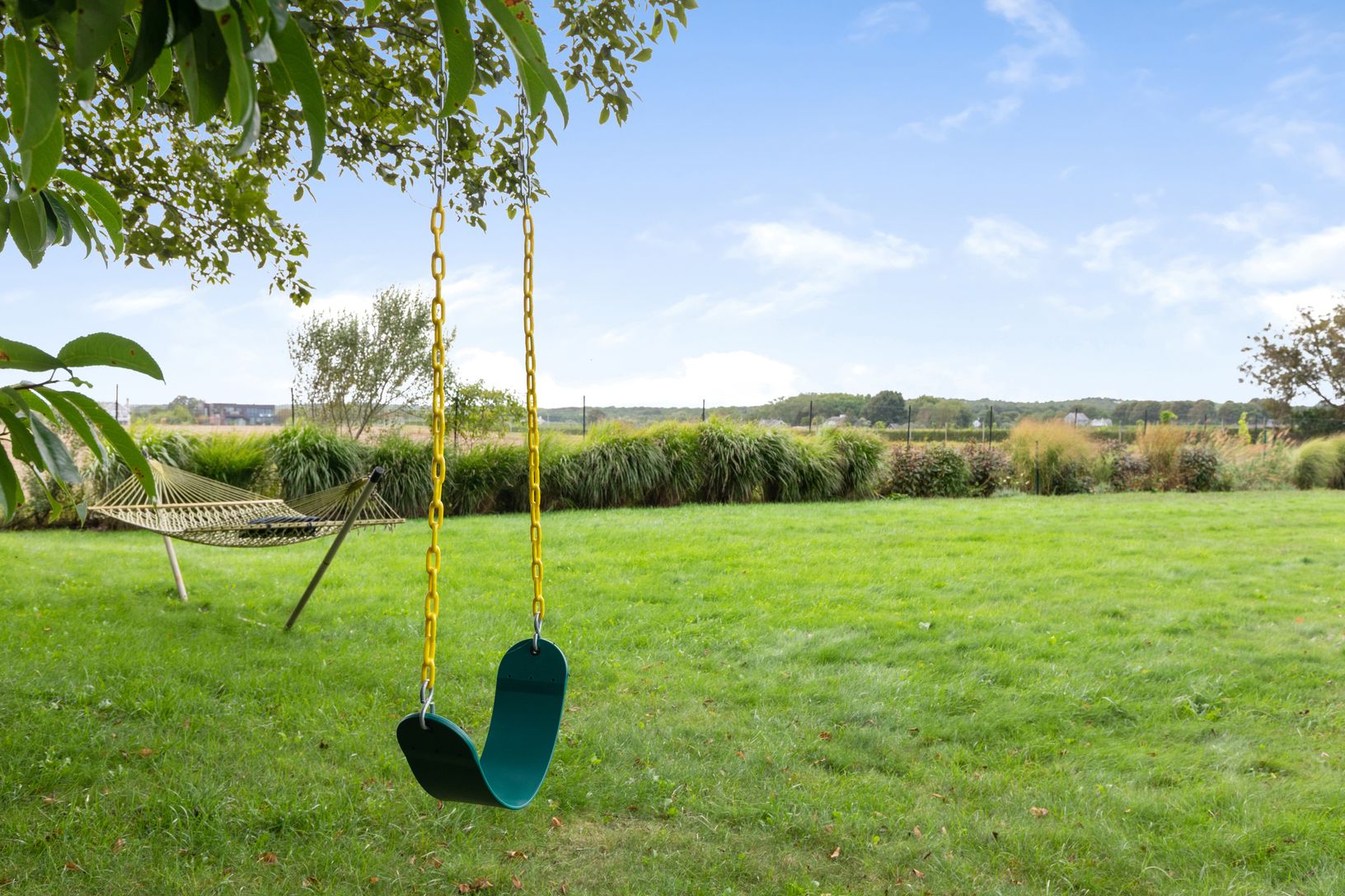  view of back yard  and farm fields from swing 