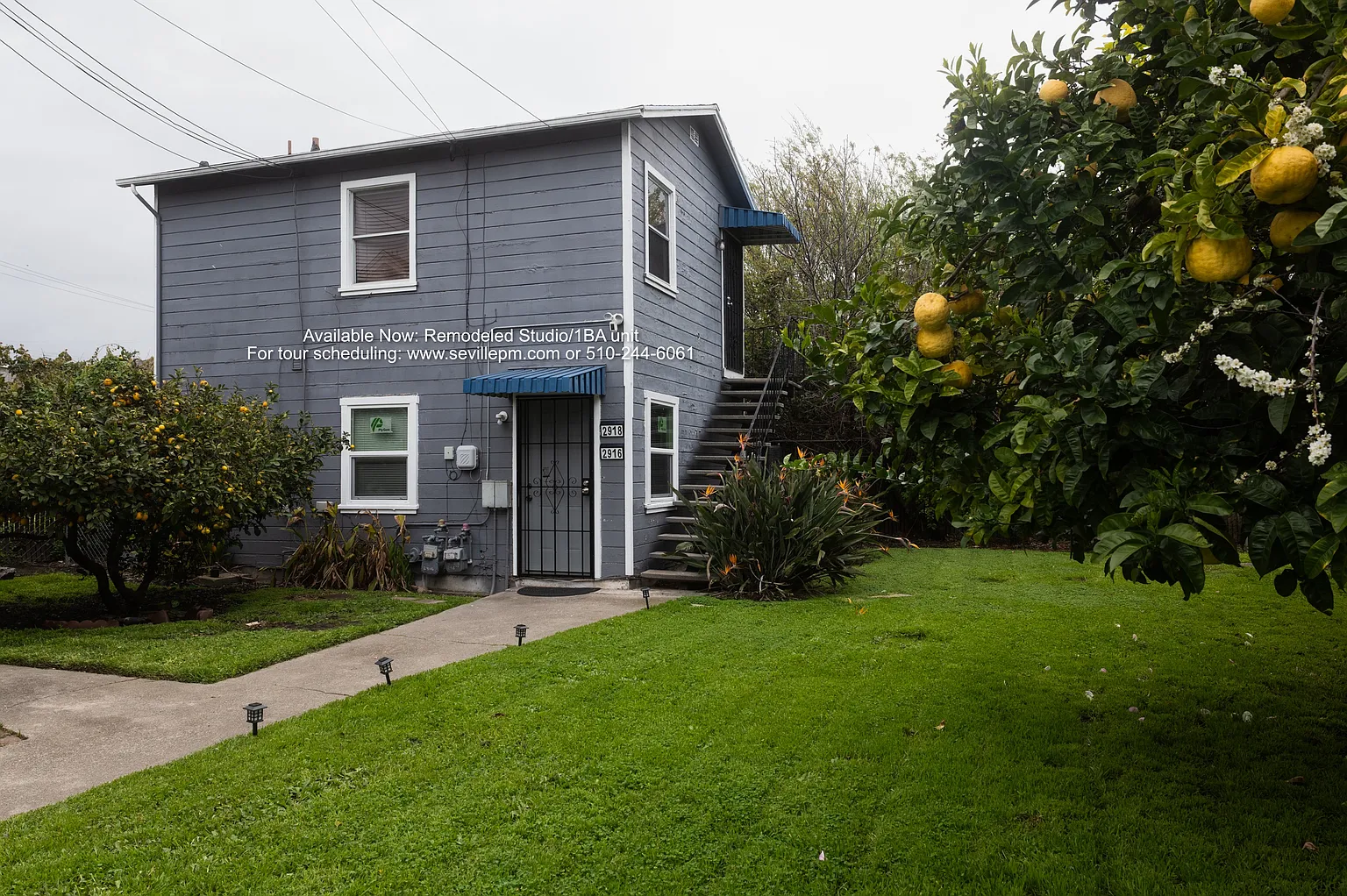 2920 Filbert St #2916 photo 1