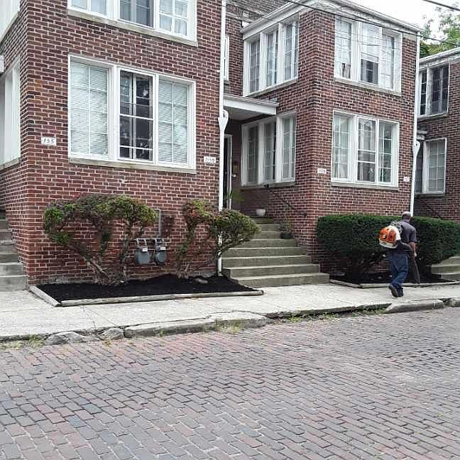 155 Wilber Ave, Columbus, OH 43215 Zillow