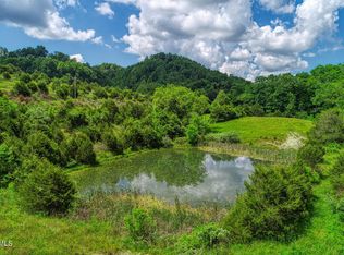 555 Little Pumpkin Valley Rd, Eidson, TN 37731