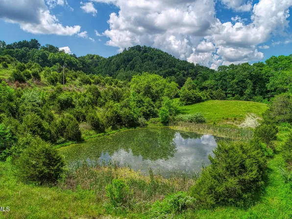 555 Little Pumpkin Valley Rd, Eidson, TN 37731