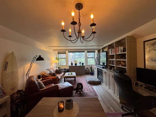 1011 Vine St #1011, Aspen, CO 81611