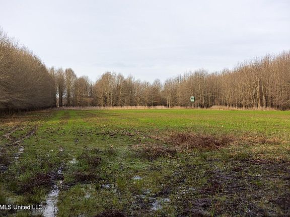 65th image of this home