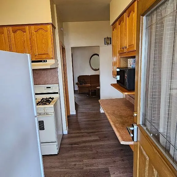 View from back door