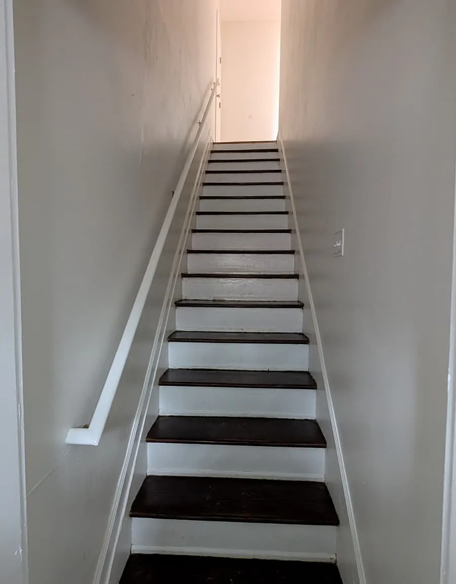3 bed, $2,550 — Photo 4