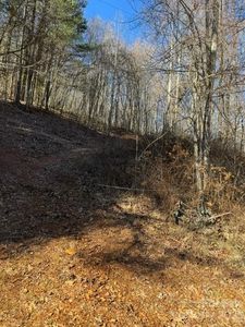 0 Cabin Creek Rd, Zirconia, NC, 28790