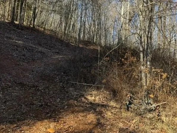 0 Cabin Creek Rd, Zirconia, NC 28790