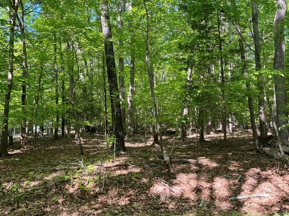 66 Lewis Rd, Clarksville, VA 23927