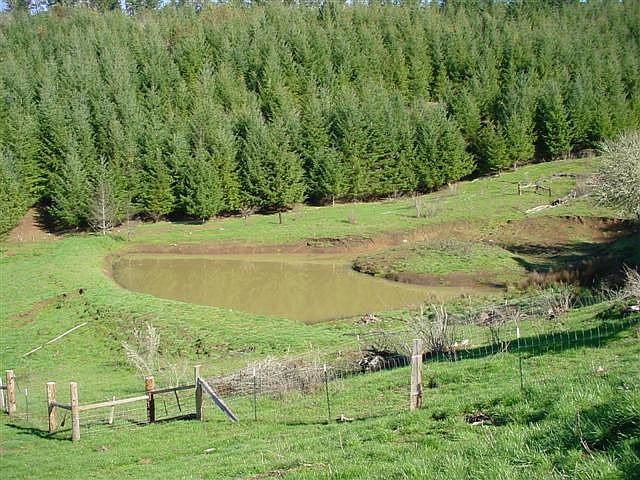 1 of 4 Ponds