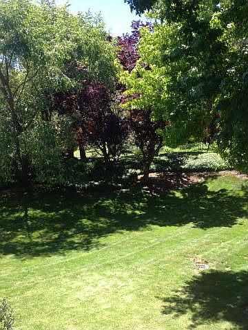 1st image of 2245 Shelter Creek Ln