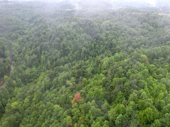 0 State Highway 2000, Goose Rock, KY 40944