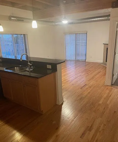 500 N Damen Ave #205 — Photo 10