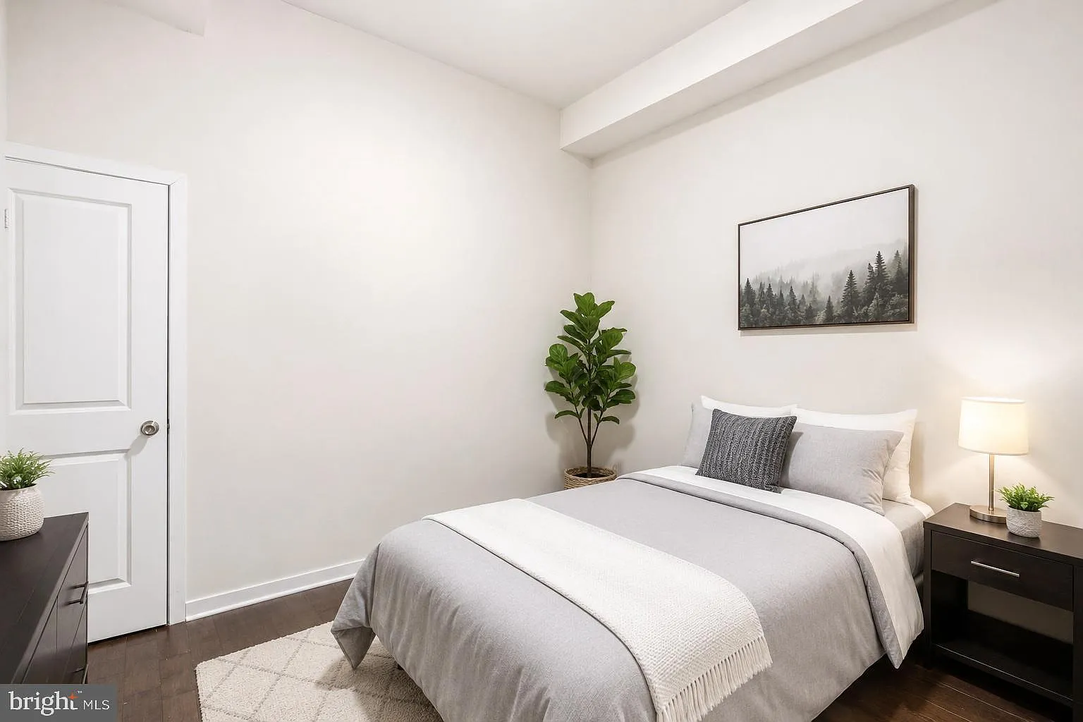 2 bed, 800 sqft, $1,500 — Photo 4