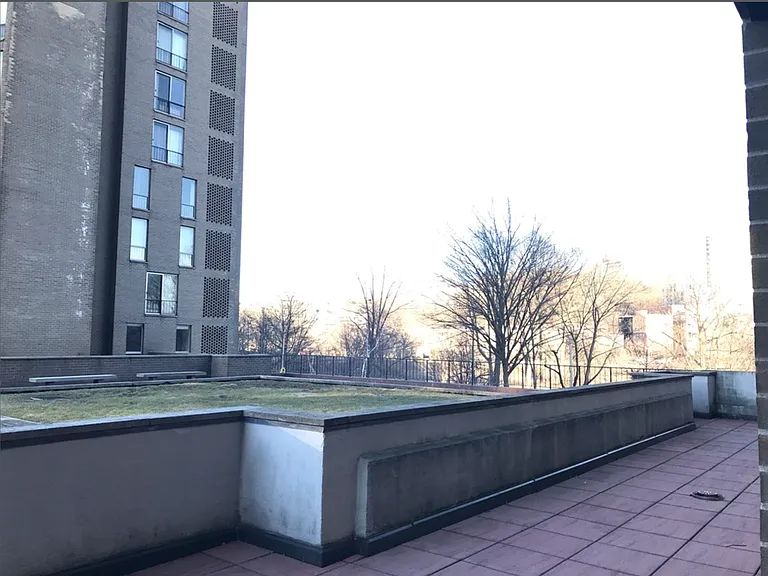 77 Pond Ave #203 — Photo 15