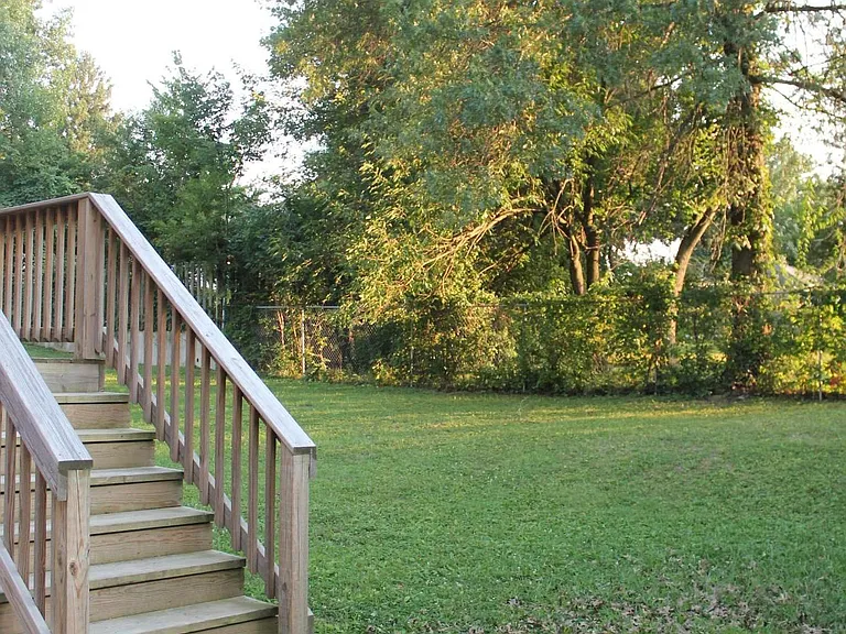 Back yard