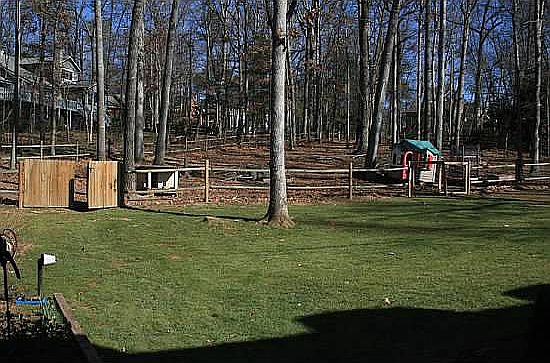 Keep and natural backyards