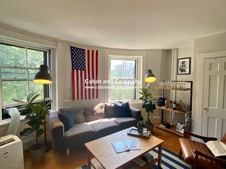 81 Mount Vernon St #7 — Photo 8