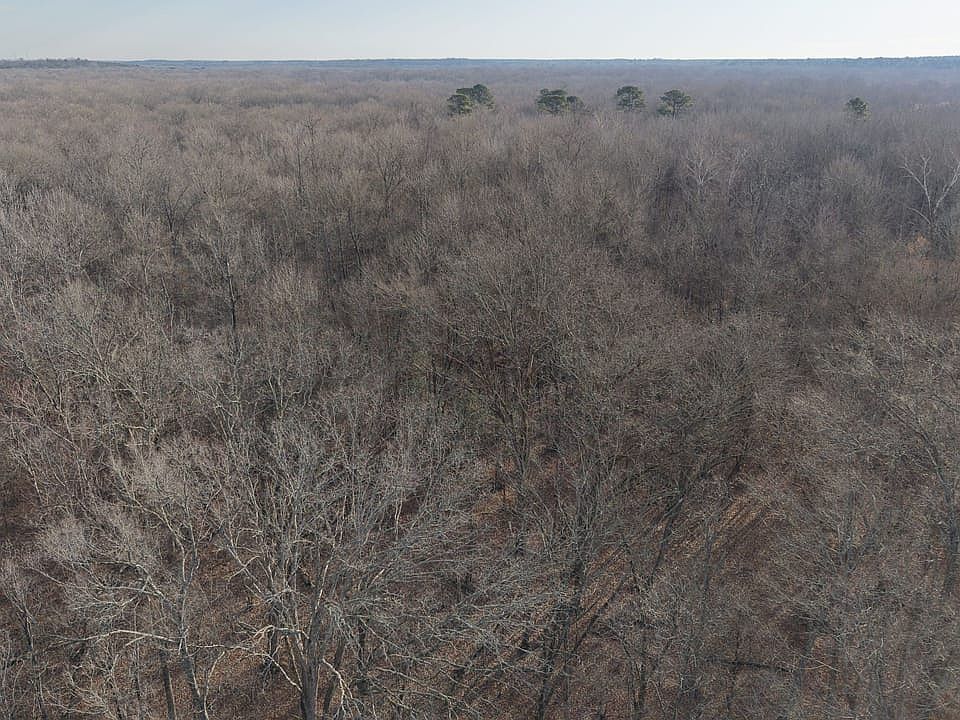 Dji 20260116091402 0596 D