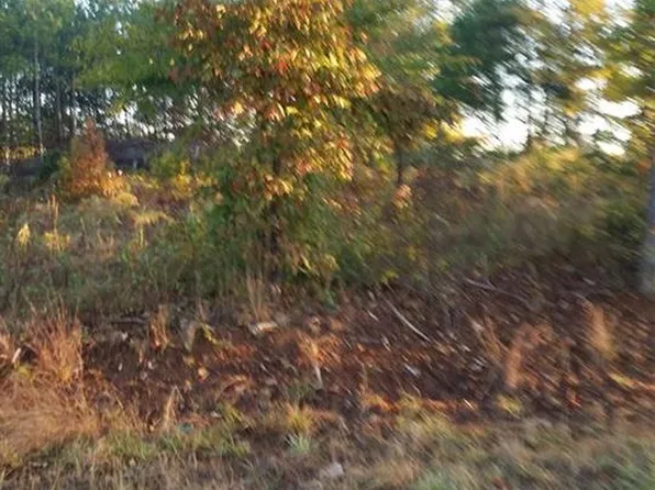 6447 County Road 50, Lexington, AL 35648