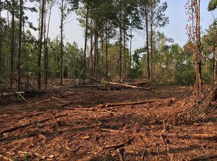 482 Harvey Cir #59, Ellaville, GA 31806