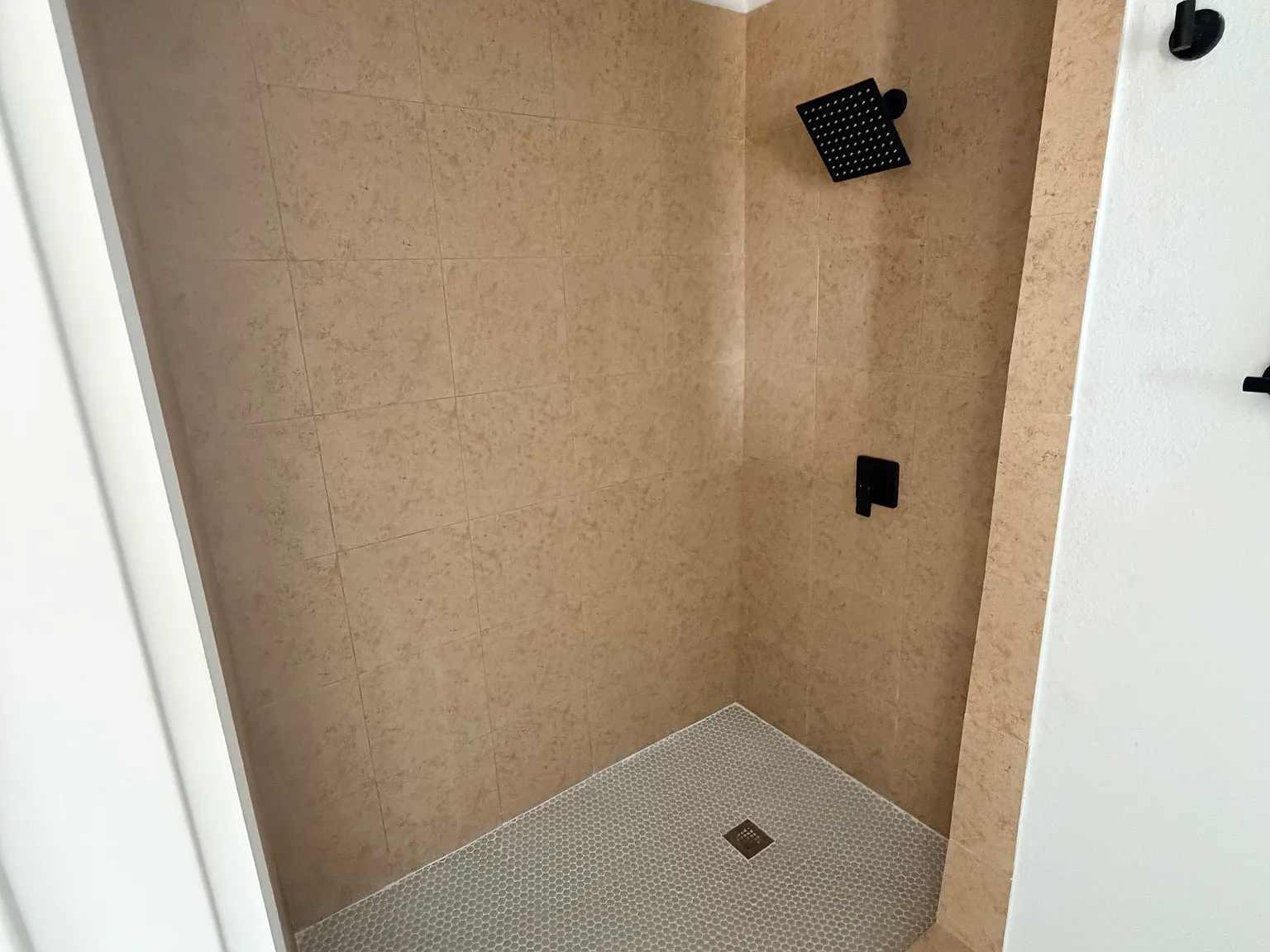 1 bed, 550 sqft, $850 — Photo 2