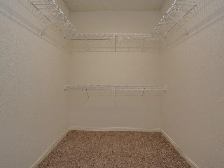 21339 Rachel Manor Dr — Photo 10