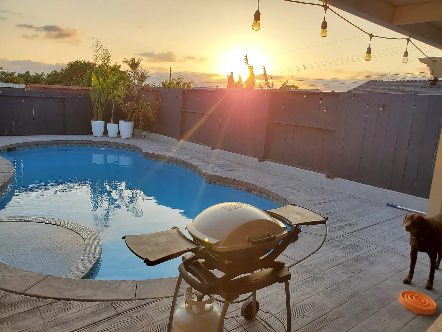 2 bed, 1000 sqft, $3,100 — Photo 1
