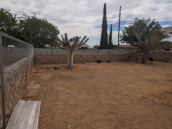 Back yard